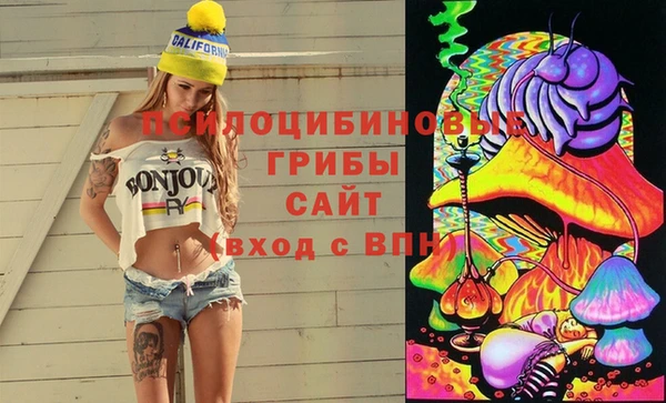 MDMA Premium VHQ Бородино