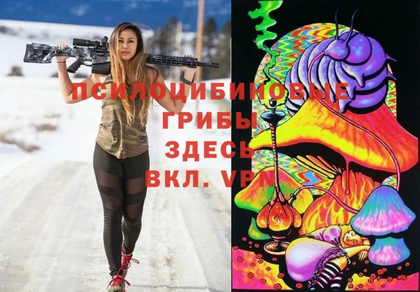 амф Бронницы