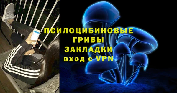 спайс Богородицк